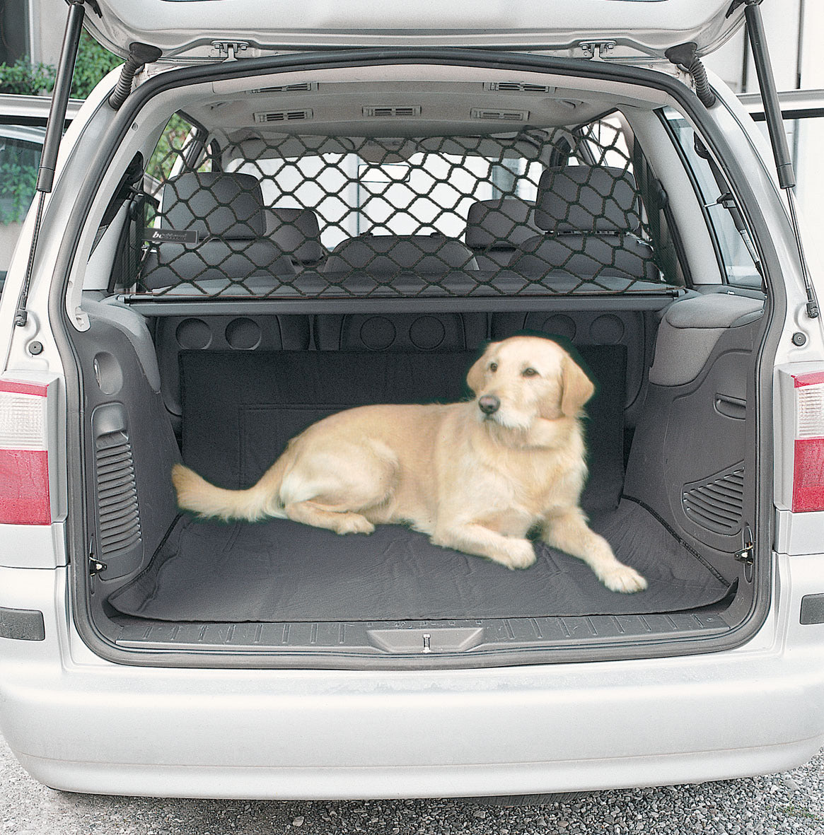 Dog Car Boot Barrier Net — Protective Safety Net