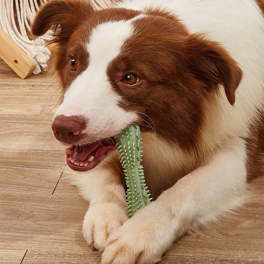 Dog Dental Chew Toy — Teeth Cleaning & Anxiety Relief