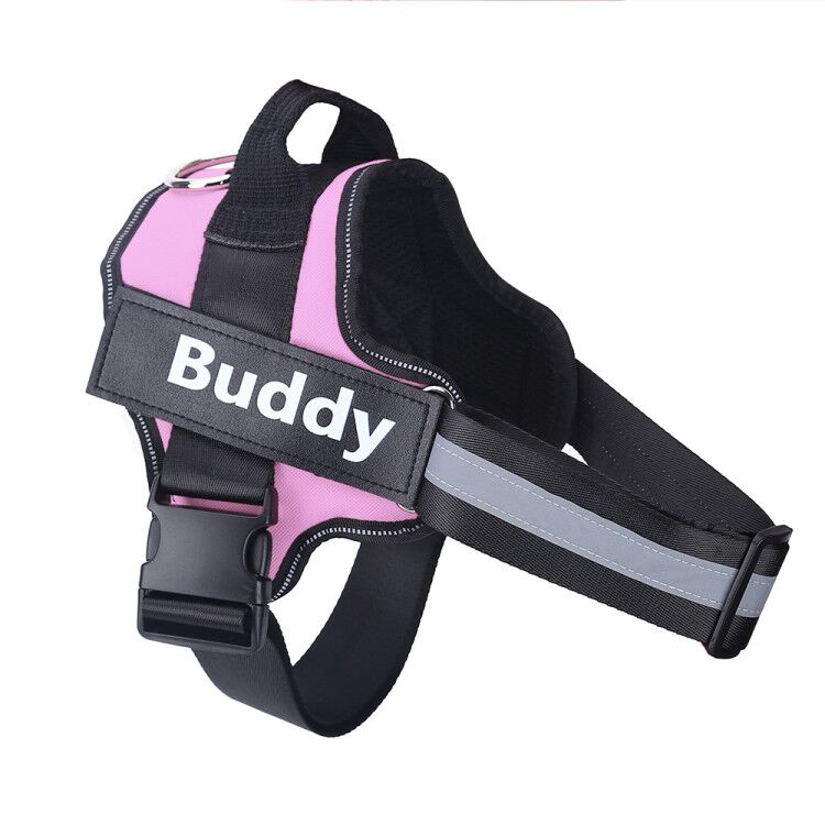 Personalised No Pull Dog Harness — Custom Name Tag