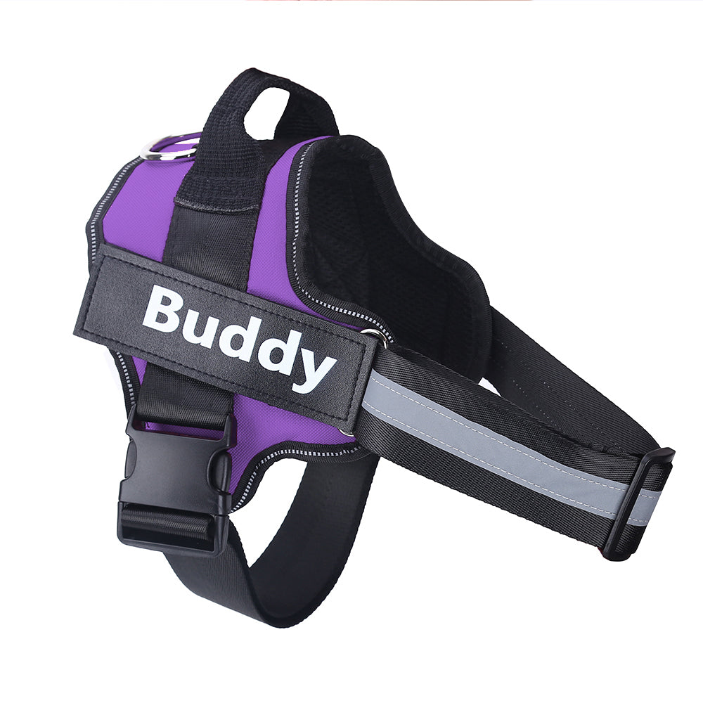 Personalised No Pull Dog Harness — Custom Name Tag