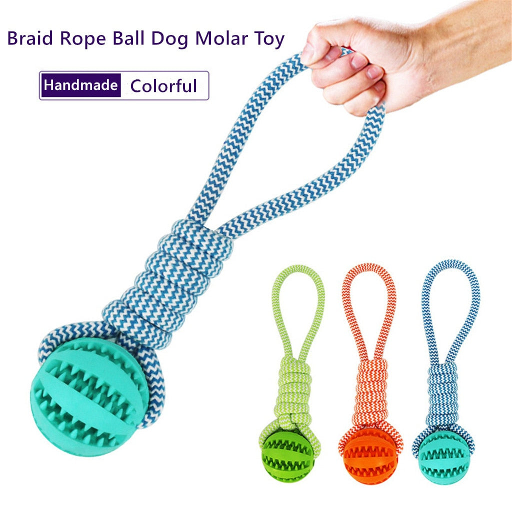 Interactive Rope Ball Dog Toy — Chew & Tug of War