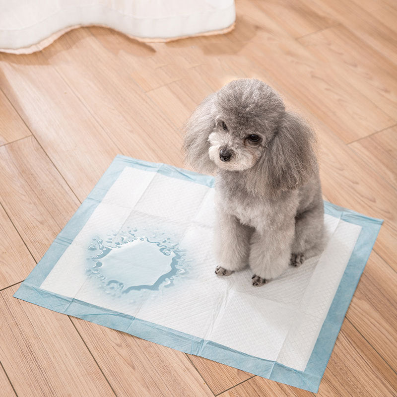 Puppy Training Pads — Heavy Duty Absorbent Wee Pads